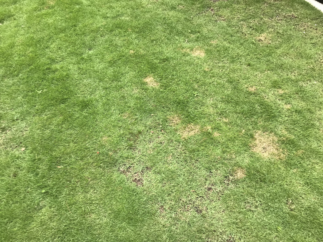 E0F7B7D3-4D88-47A9-9262-91E0D8AACA1B