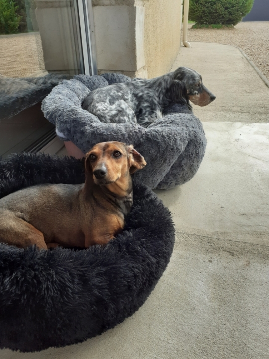 [Image: Resized-20210904-111501.jpg]