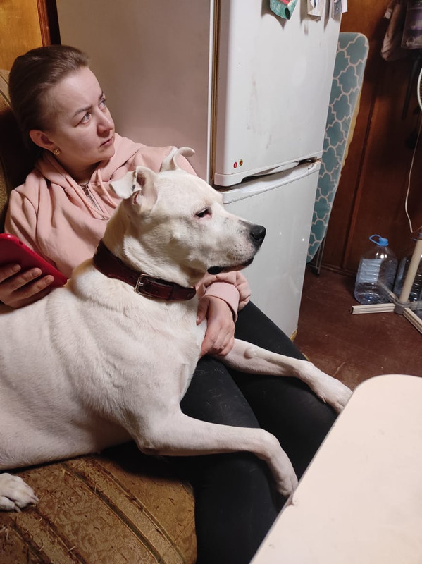 816E1002-50C8-4256-805D-9BA791B63826