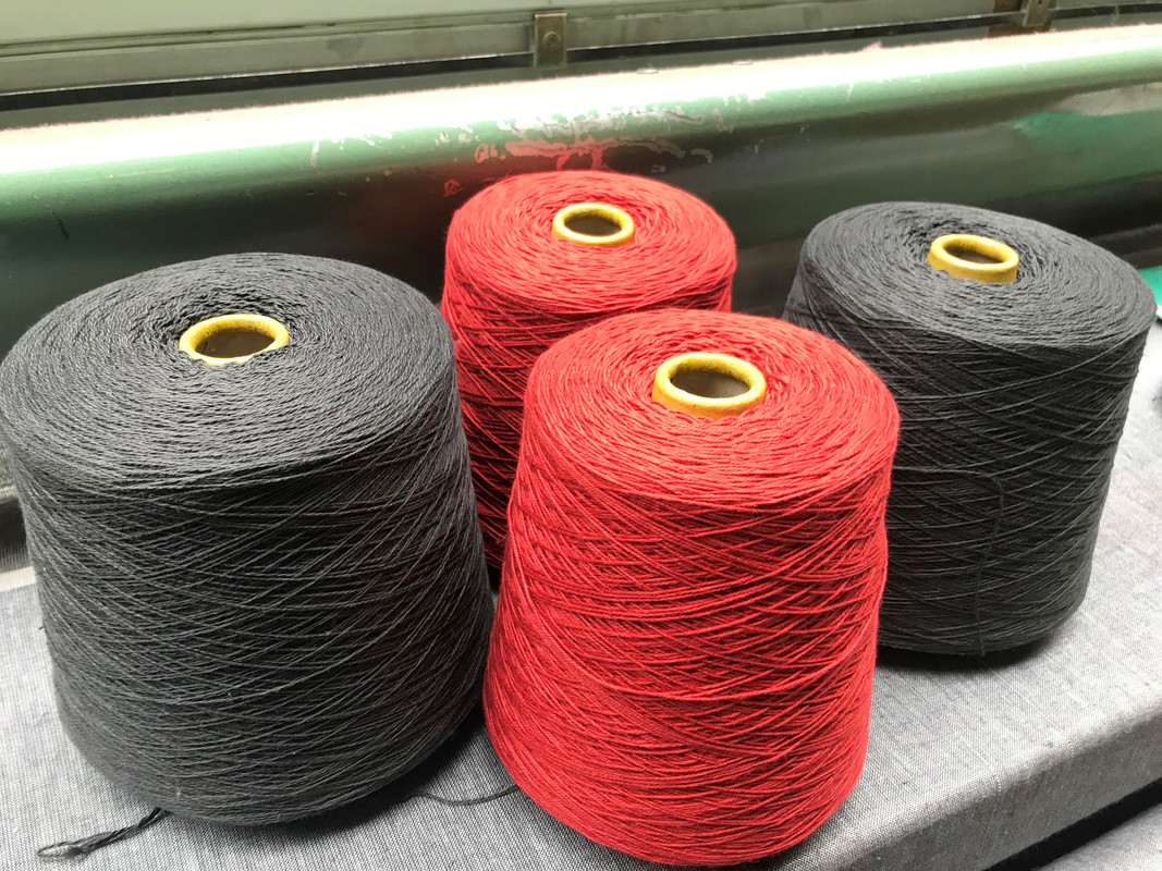 20190426 Cônes rouge et noir reçu par Métis - Copie