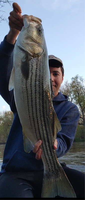 Screenshots_2024-04-15-06-54-14