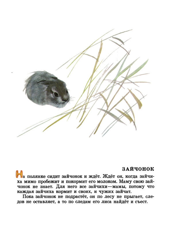 Snegirov-Gennadij-Tungus-i-Vernyj-500756-27