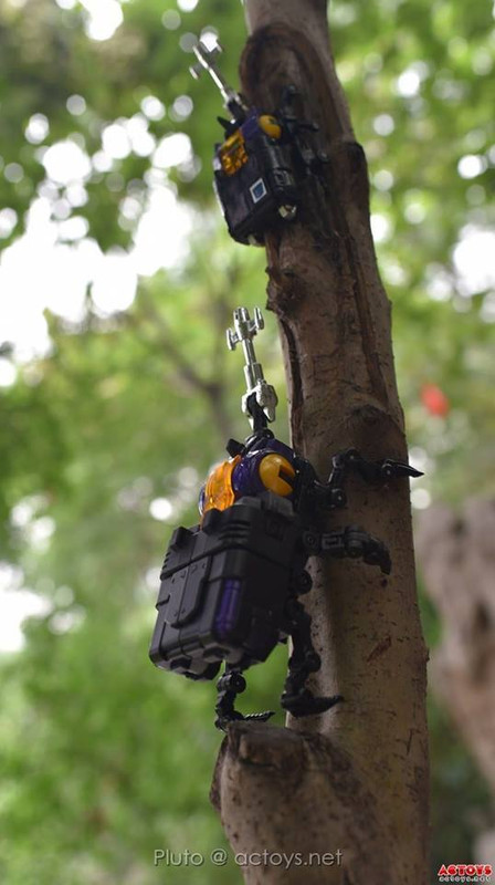 11796299_870624003024010_3497975883512883394_n