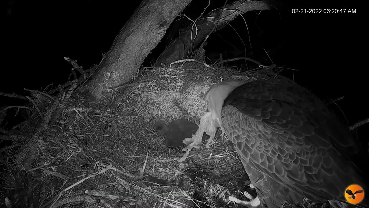 EC 4K Overhead Cam 15-8-58 screenshot