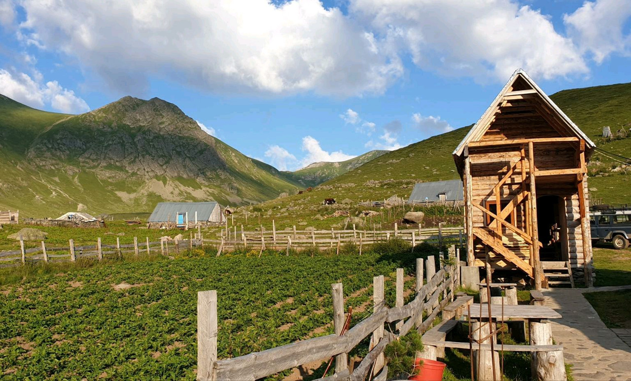 image_963d22b3-f91f-4507-acc8-8f4a4d21c6e420200807_113653