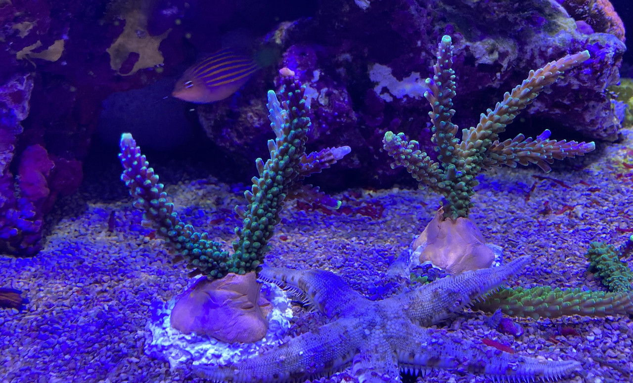 132B8474-AAC7-40BD-B14E-ECA45F736D22