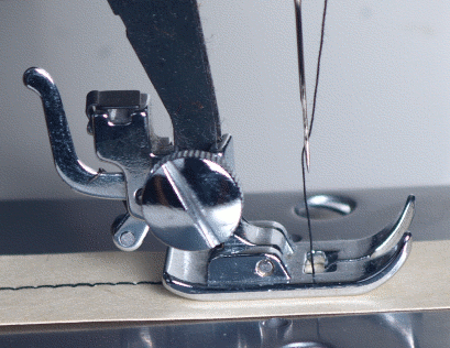 IMG-3091.gif