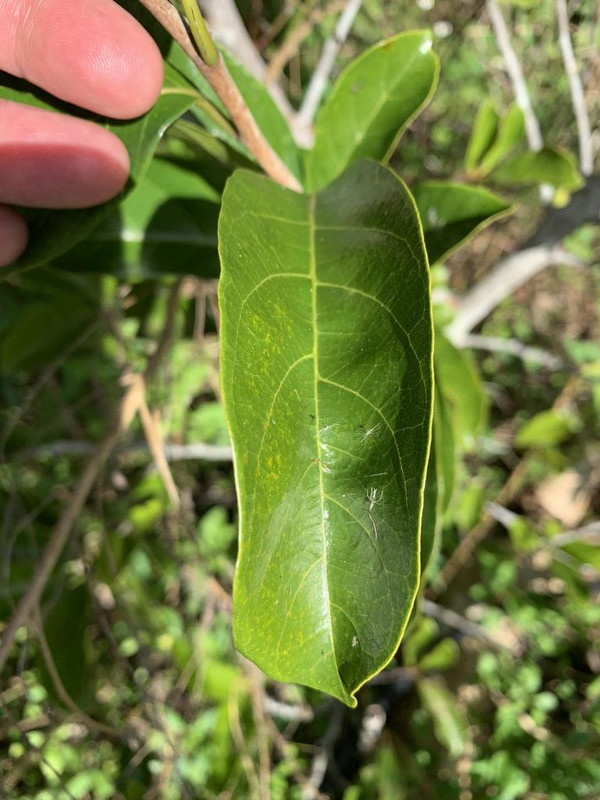 65F00F8F-5324-4A7F-8769-F72028DE95C4