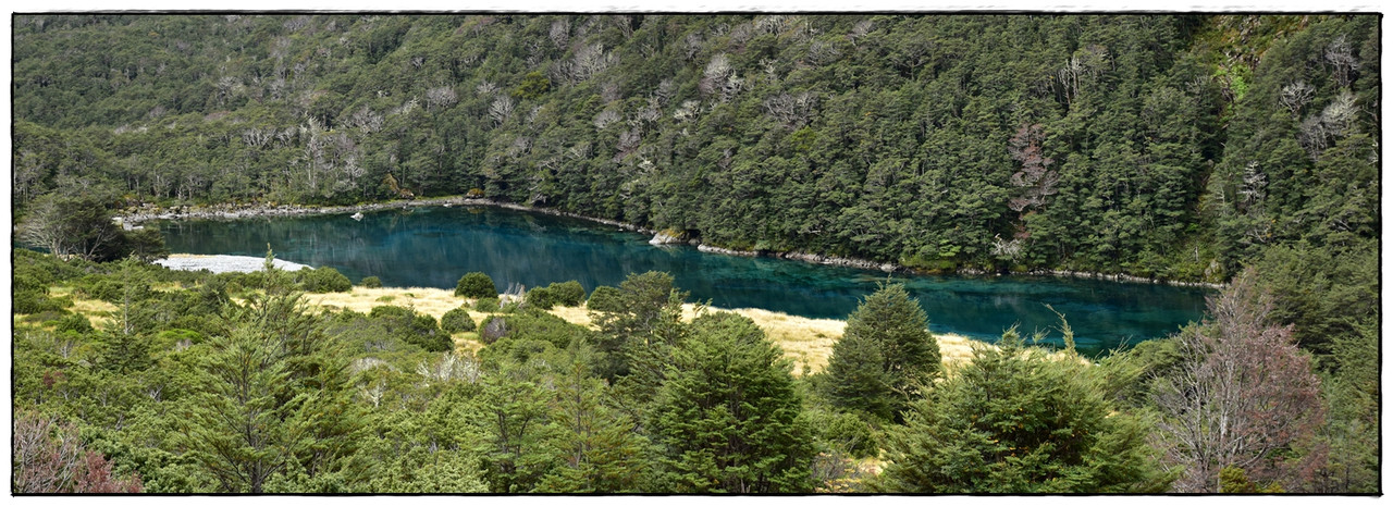 Nelson Lakes NP: Blue Lake Circuit (abril 2023) - Escapadas y rutas por la Nueva Zelanda menos conocida (38)