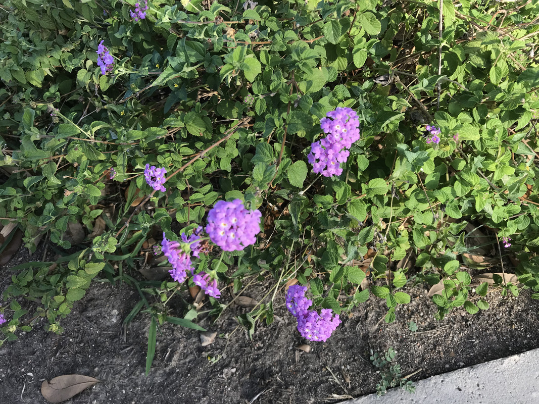 6C109FD5-5389-4F96-9F78-F82FB0A85B35