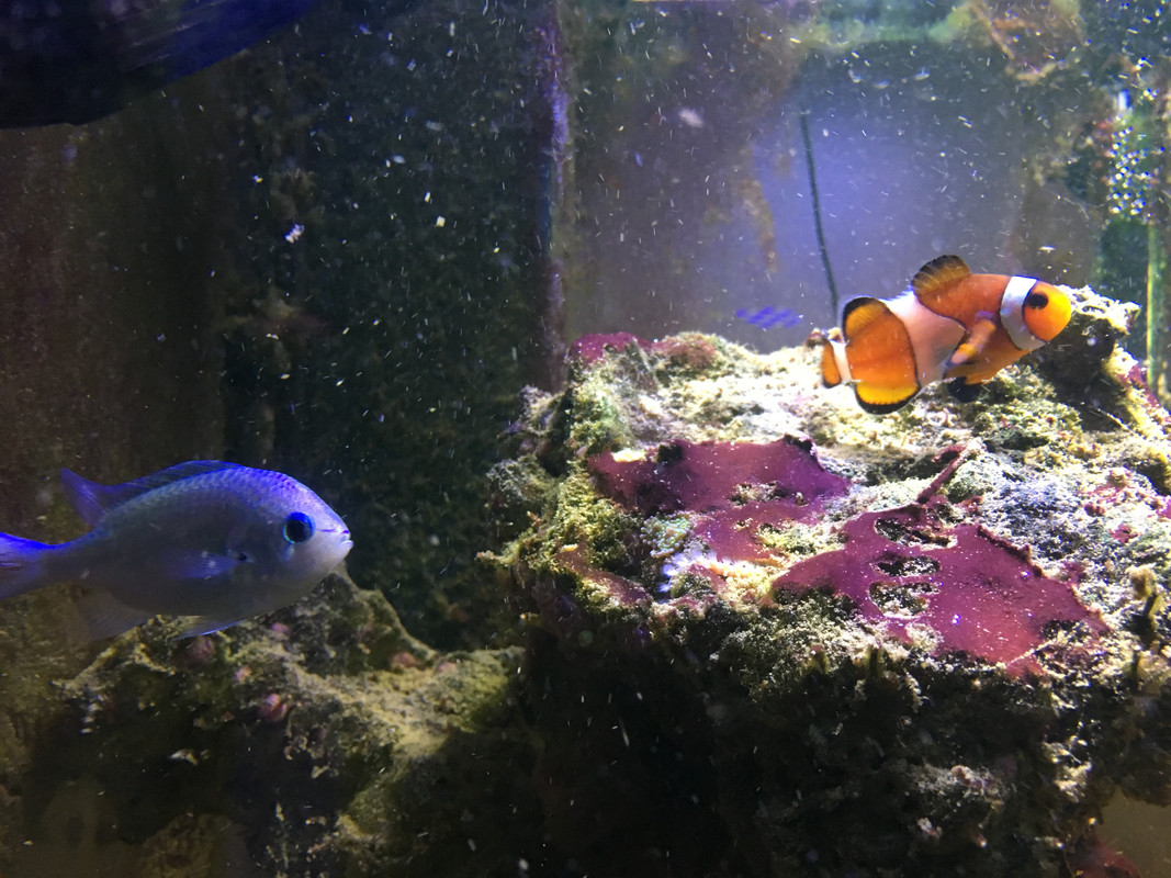 C92C6423-FAE5-436C-82AF-197129AF82DE