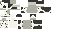 Alt Tag