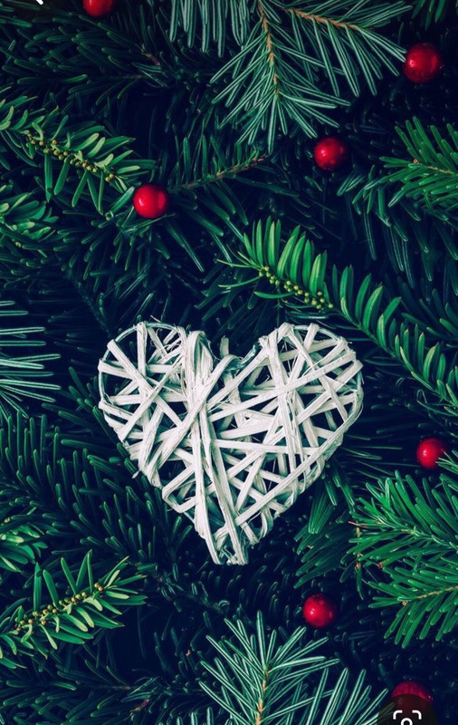 Screenshot_20231205_193126_Pinterest