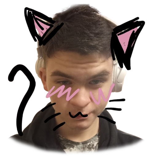 Котик Дамир