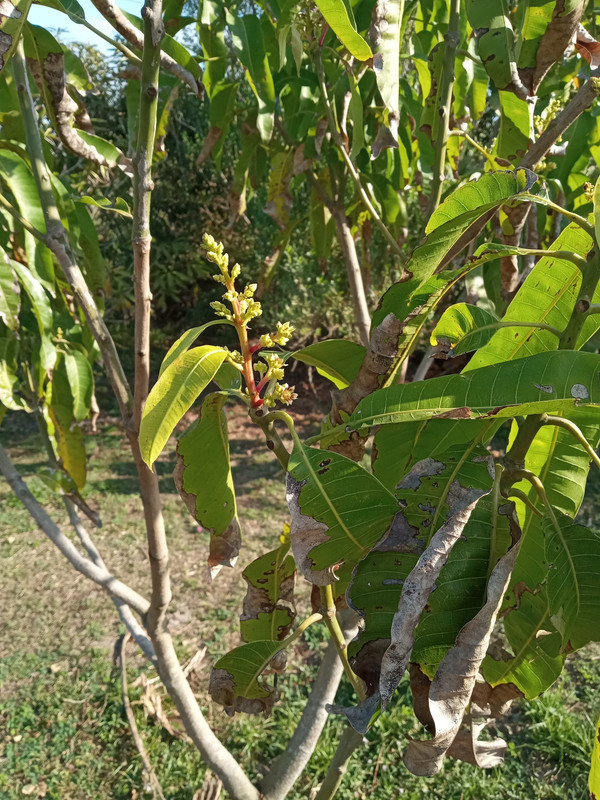 IMG_20250222_091435988