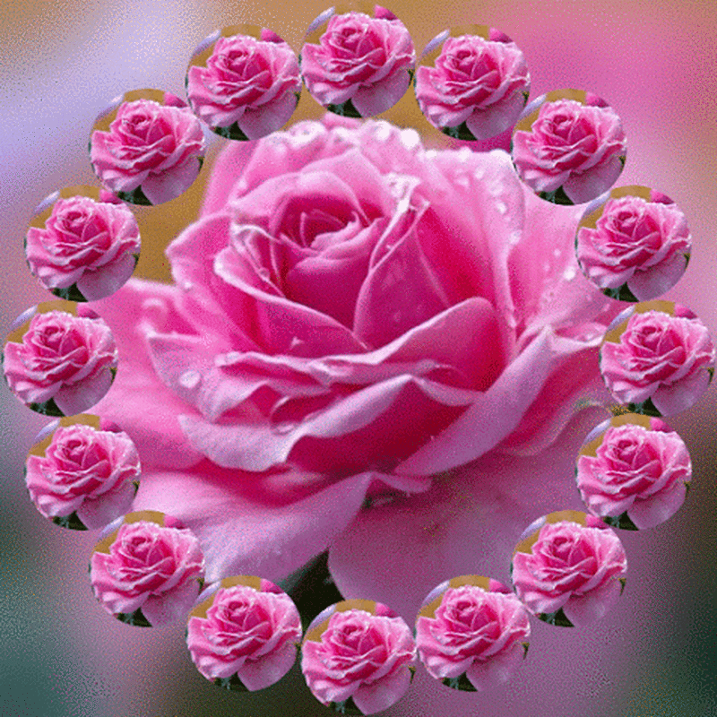 348f0c38.gif