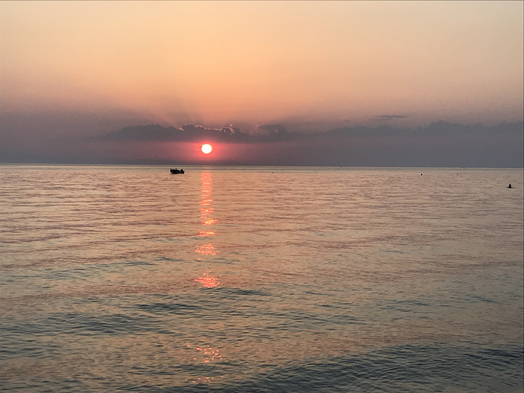 1065040E-1F4B-4528-84C3-581AB6BD8013