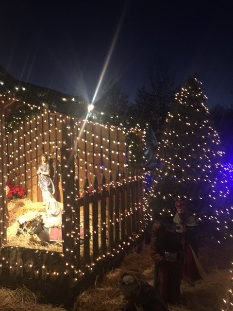 [Image: IMG-6093.jpg]