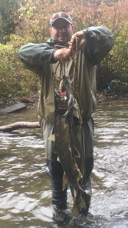 08DEECFB-1E6C-4D9F-8C11-0BB2E178AAEB