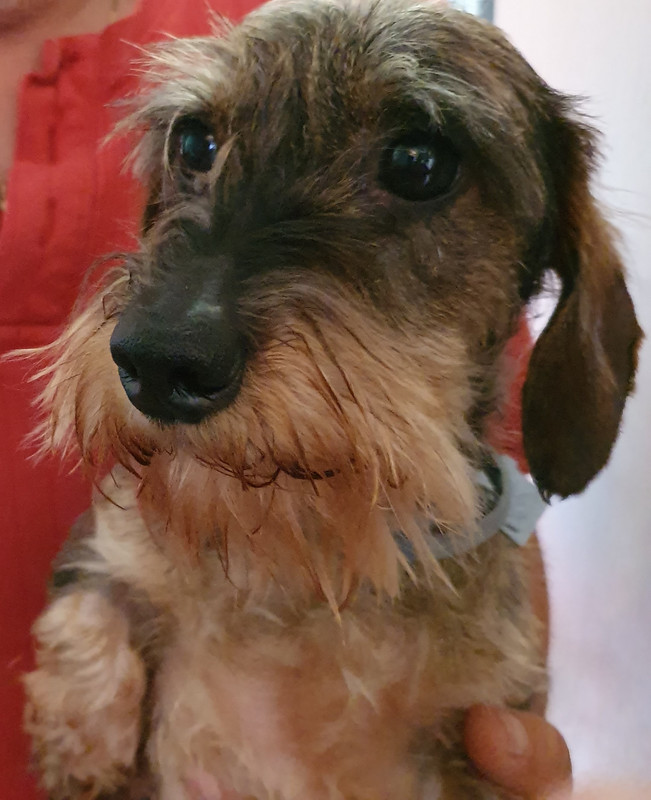 [Image: 20200813-101311.jpg]