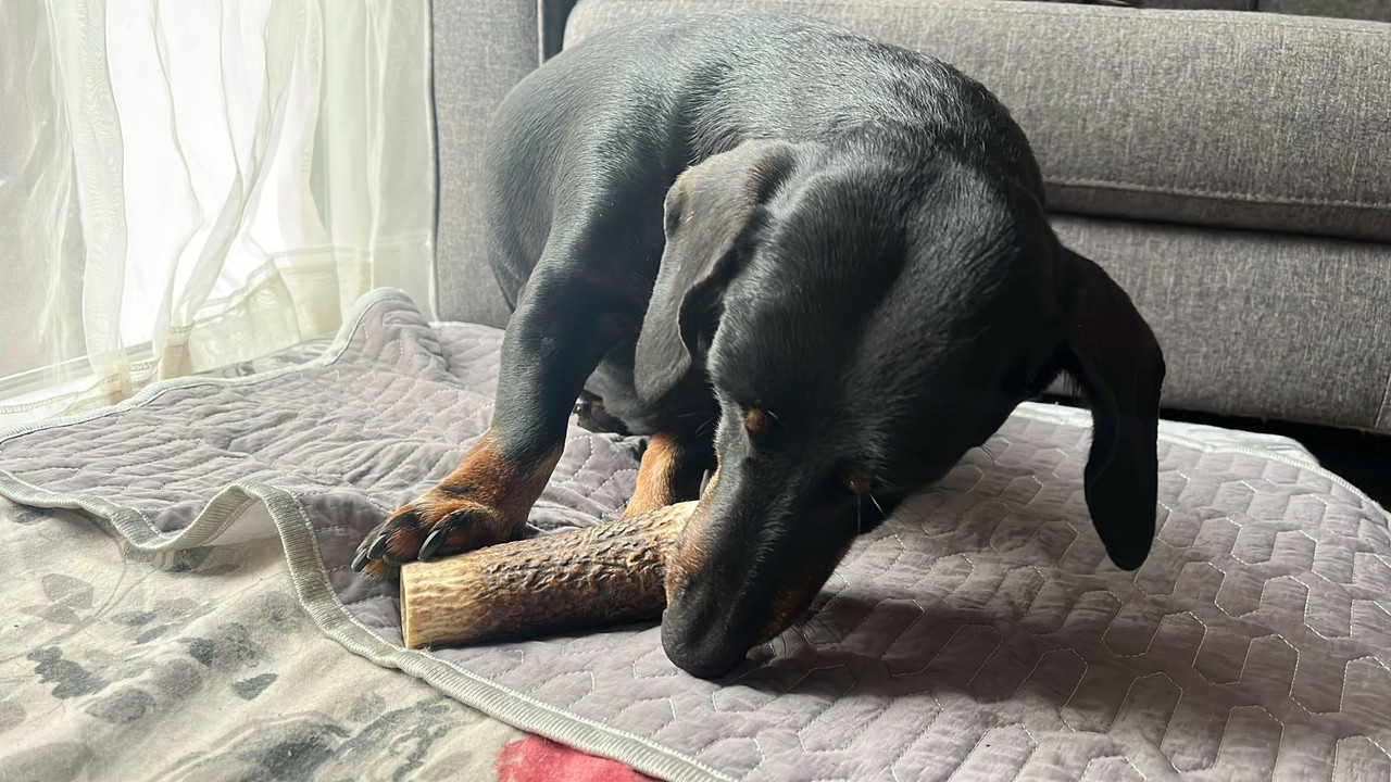 [Image: IMG-20250724-WA0006.jpg]