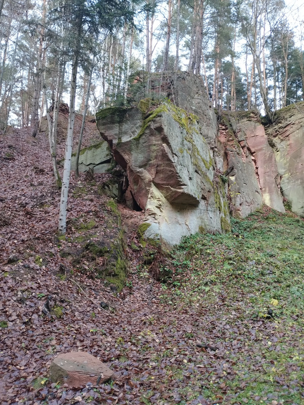 [Obrazek: IMG-20241201-150832531.jpg]