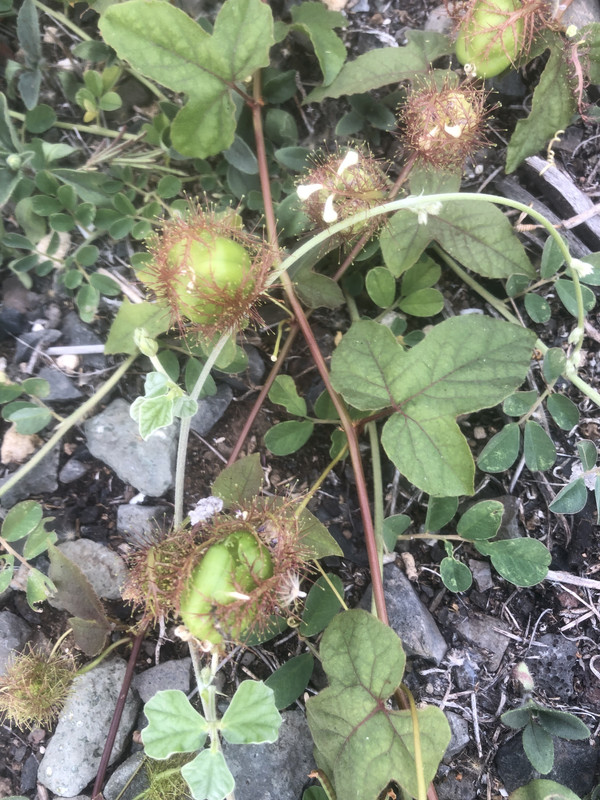 6392F550-D2CB-4E9C-B968-948C930EEA69