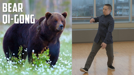Five Animals QiGong For Boosting Energy & Joints Mobility