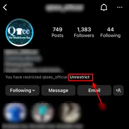 Unrestrict an Account on Instagram
