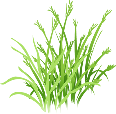 KBK_PrettyRabbit (71)