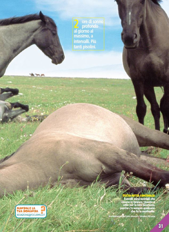 Foc Wil - Apr 2023 (6)