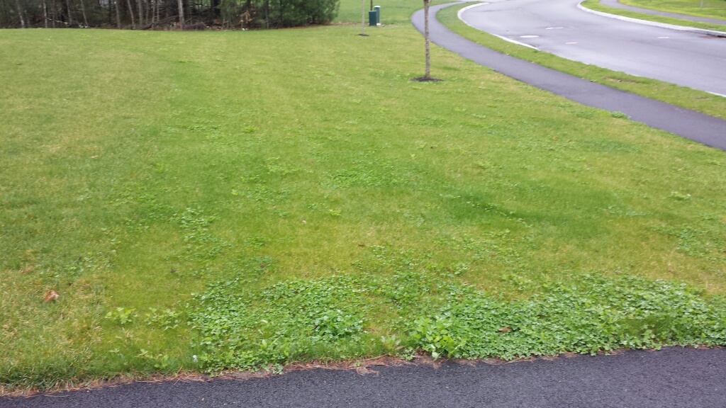 20140427_122631_resized