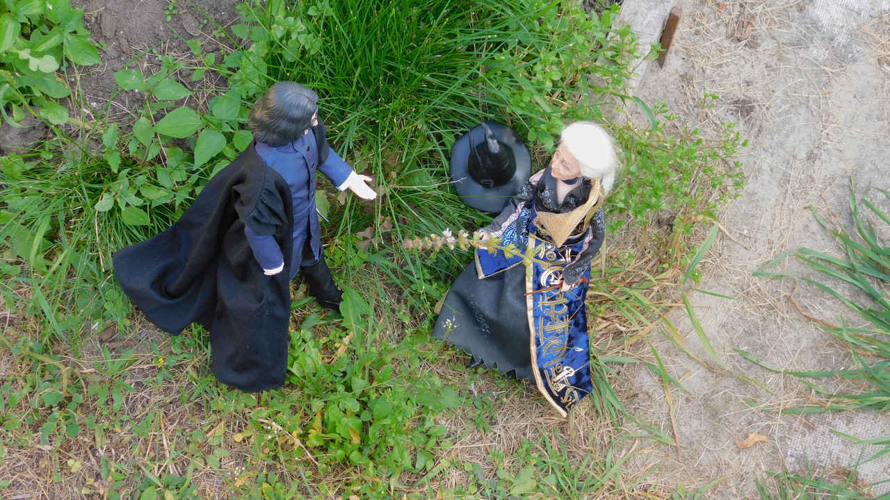 Дачное и  к Хелл сентябрь 2023 071