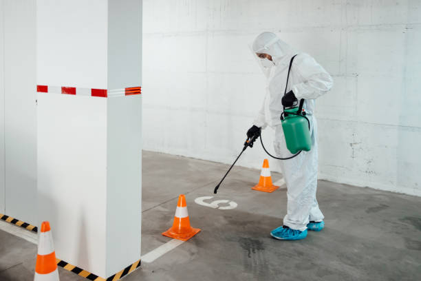 Termite-Treatment-3.jpg
