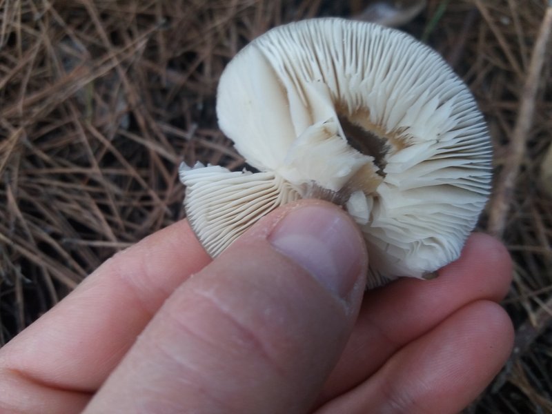 72D415C3-63BF-44A4-BDE3-D909B13BB557