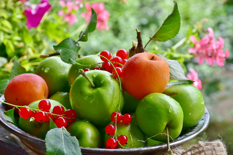 greenmultifruitbowl.jpg