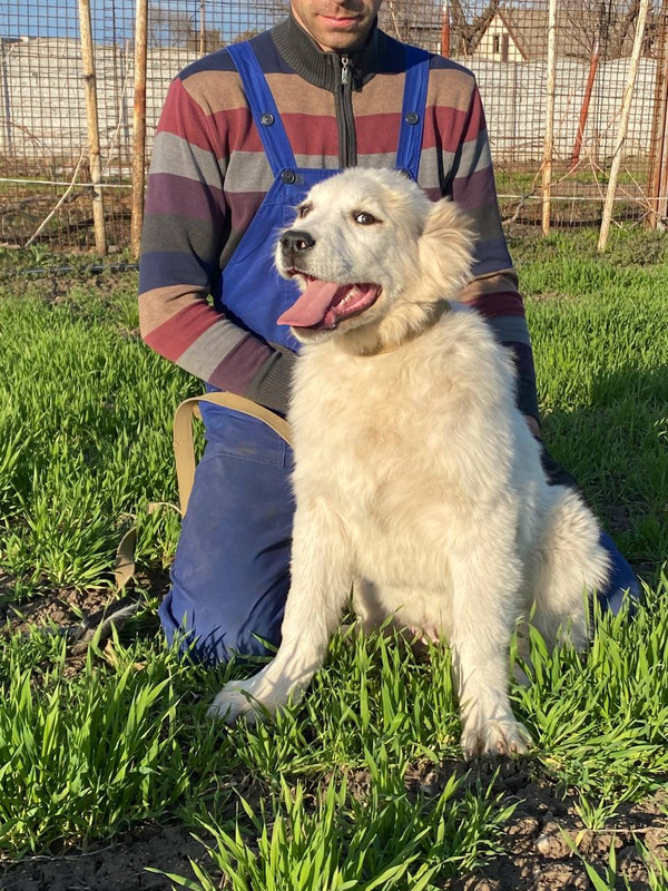 A5B68044-9EE8-4437-AD98-C1DB7BCC46F8