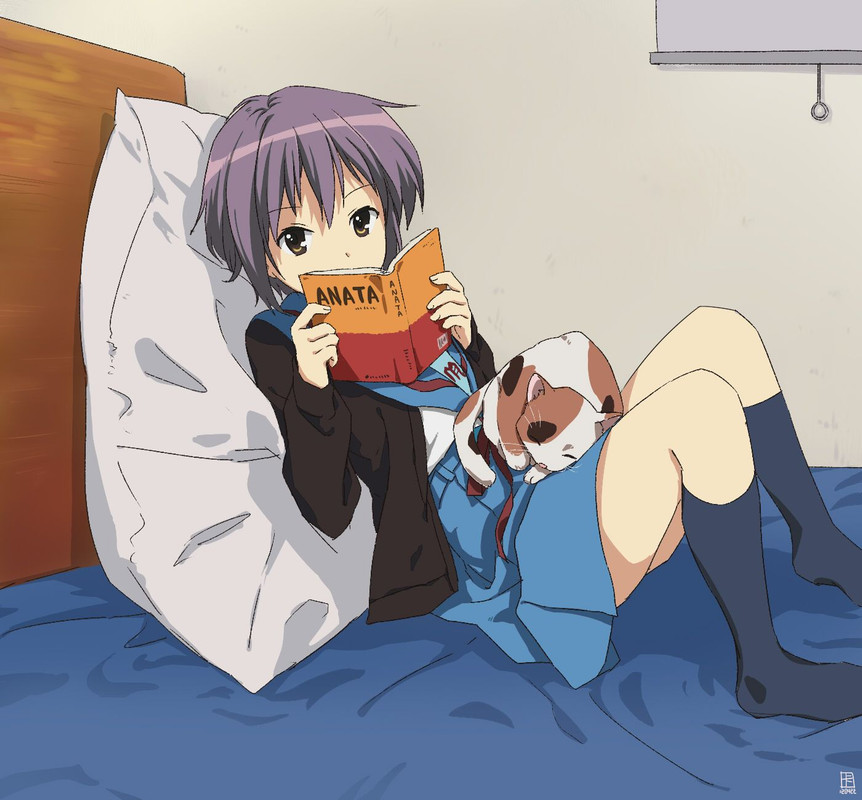 nagato-yuki-and-shamisen-suzumiya-haruhi-no-yuuutsu-drawn-by-a-ka-7ccdd599d9dc91ba9e2e23efdf936f4