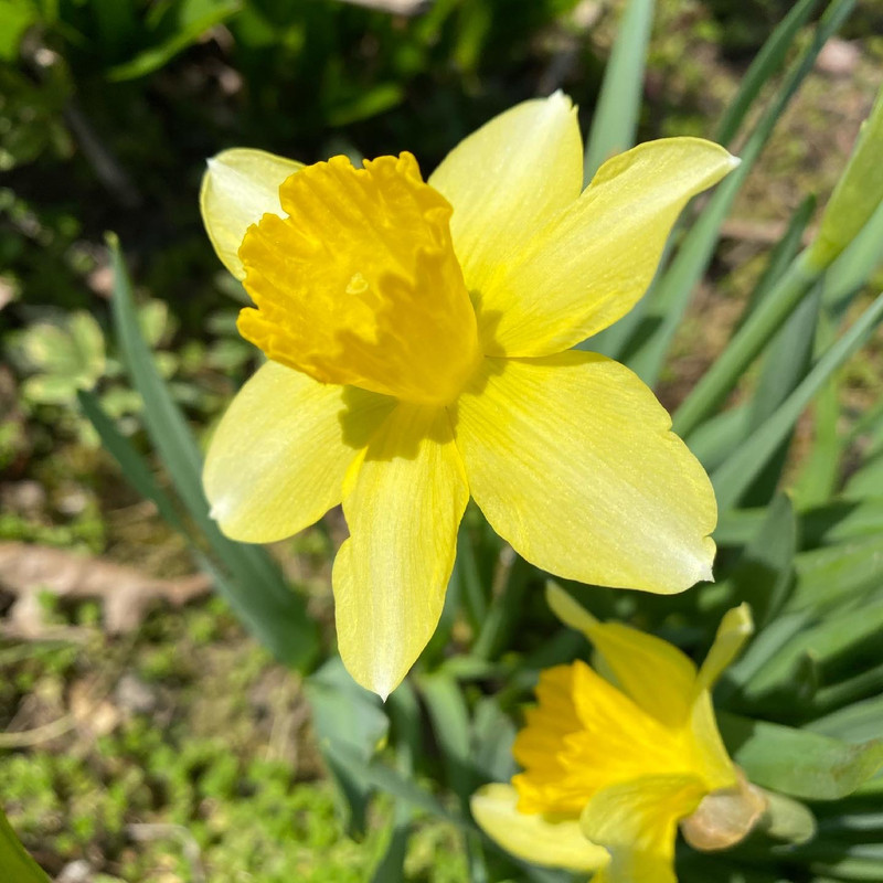 285EF299-FA5D-4503-AF04-C3EDAD02FBAB