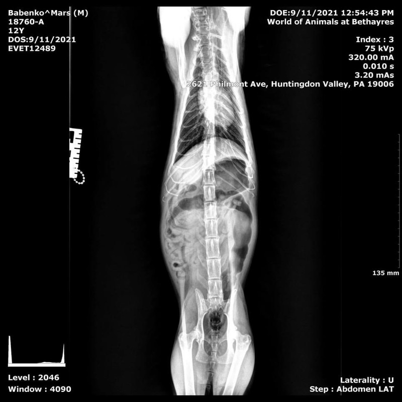 AB278F3E-370F-401C-9F7D-449BED8A1EDC