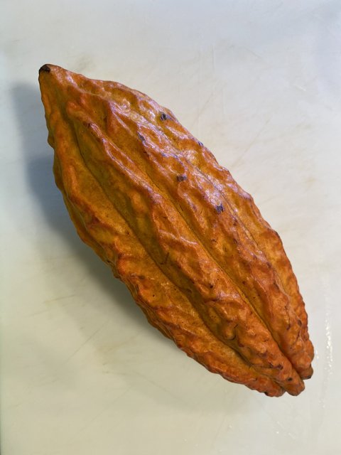 C334D78D-423E-4CC2-A822-E26695295F1B