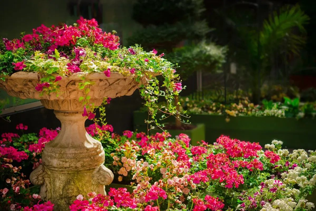 pink-garden-670516-1280.webp