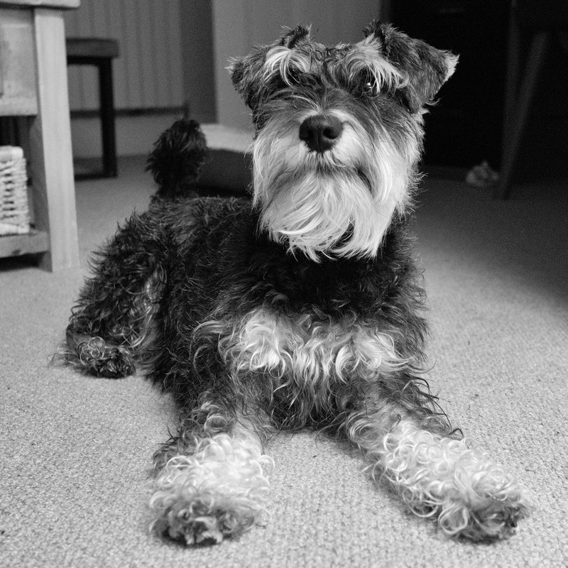 103946385_10158689634678255_6212619663044716667_o (1)