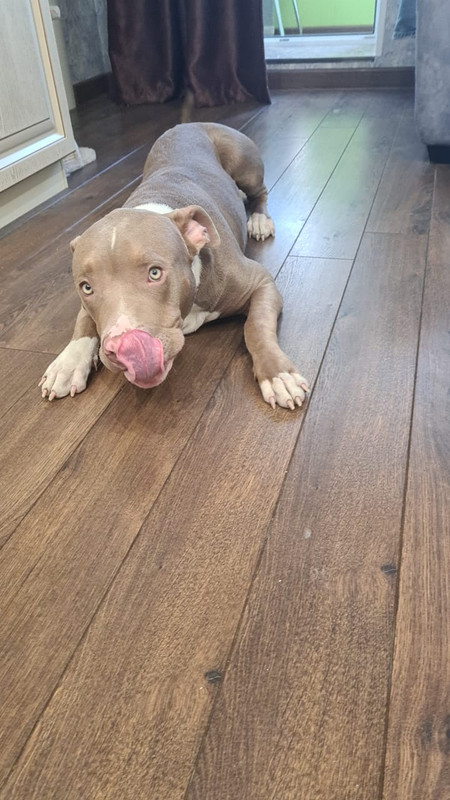 E0B8302E-9A30-4ED4-9DB6-A81125EEB544