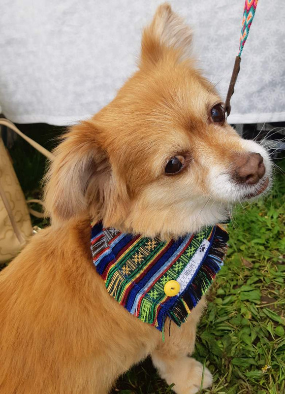 [Image: 360149255-1917243541991525-3696988869910053392-n.jpg]