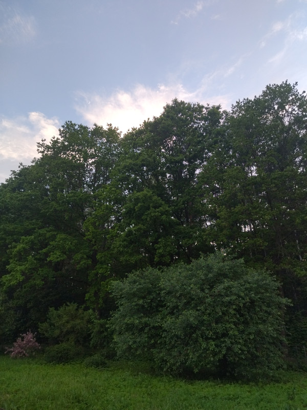 [Obrazek: IMG-20250531-201925.jpg]