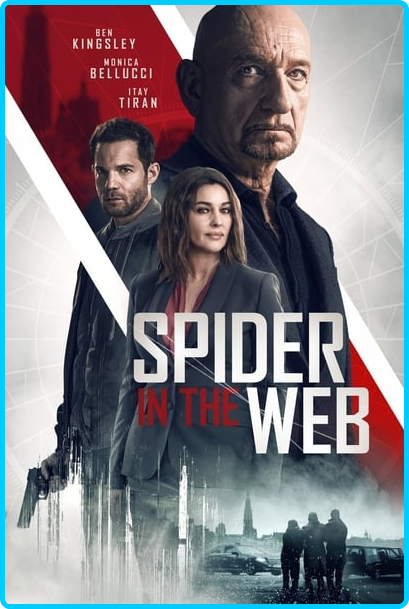 Spider-in-the-Web-2019-1080p-Blu-Ray-x265-RARBG.png