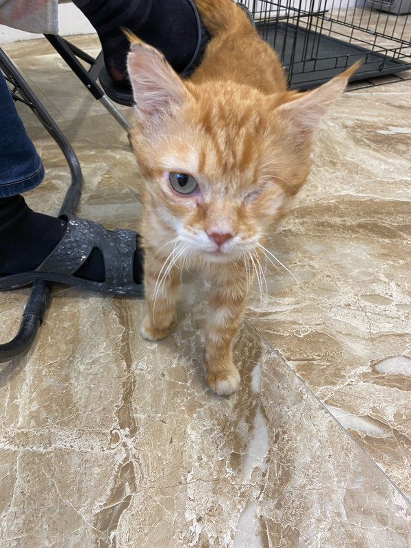 rpmUOSv8-rnQxPEFBCHGklfq4fUhpnOKX8q1wHhY8WRyJTlCigOGD6f-dCQI3Sa8_KgaW2KmDBRd0EaAJNF9OYCp