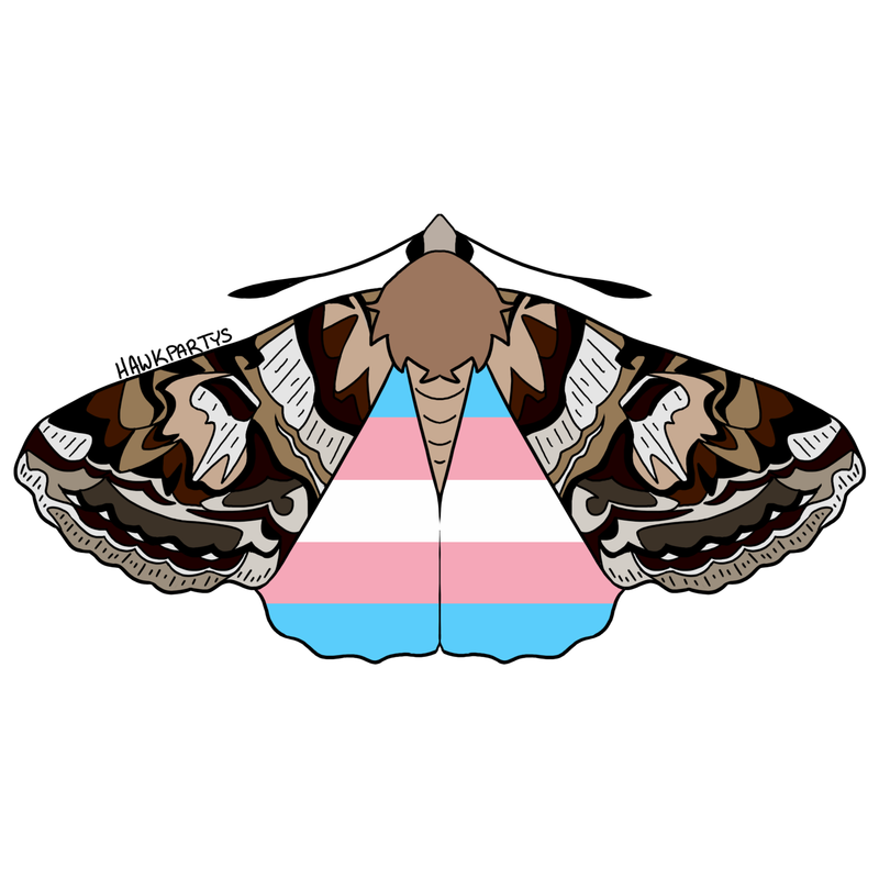 moths3-2