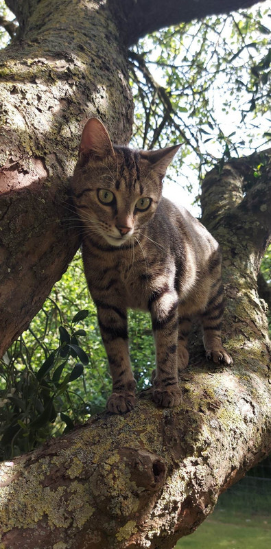 received_1304441950447065